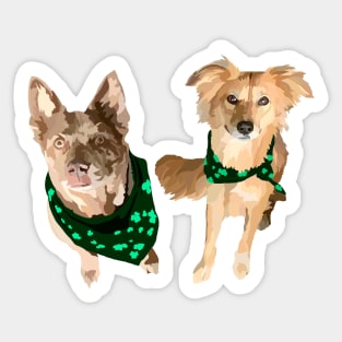 St. Patricks day bandana dogs Sticker